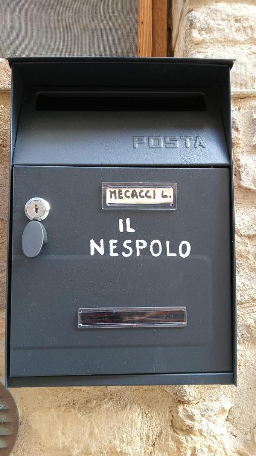 Appartamento Il Nespolo Сан-Джиміньяно Екстер'єр фото